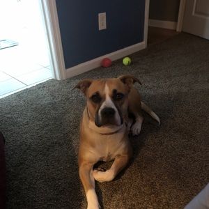 Meet your Posher, Jeff